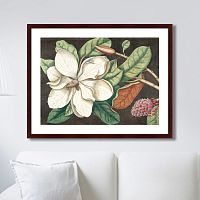 картина: beauty bloom №1, 1732г. во Владикавказе