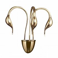 бра lightstar cigno collo 751632 во Владикавказе