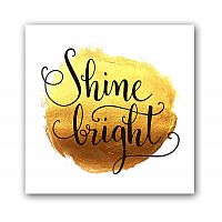постер shine а4 во Владикавказе