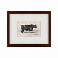 картина: a west highland bull, 1840 во Владикавказе