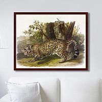 картина: jaguar, 1841г. во Владикавказе