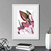 картина: himalaya plants pink-flower on white iv, 1869г. во Владикавказе