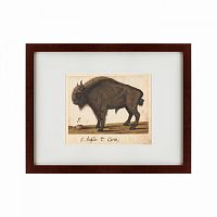 картина: bison, 1560 во Владикавказе