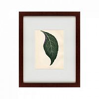 картина: the leaf, 1871 во Владикавказе