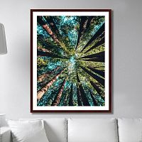 картина: deep forest во Владикавказе