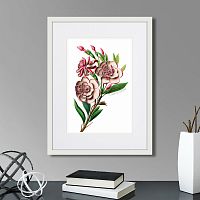 картина: caribian flora pink gardenia flower branch, 1740г. во Владикавказе