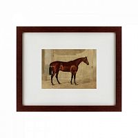 картина: the riding horse, 1830 во Владикавказе