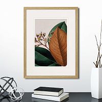 картина: exotic plants of the world №14, 1815г. во Владикавказе