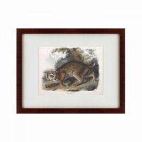 картина: bobcat, 1839 во Владикавказе