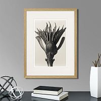 картина: botanical philosophy of forms №8, 1912г. во Владикавказе