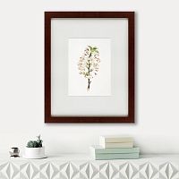 картина: pear tree flowers (pyrus calleryana), 1830 во Владикавказе