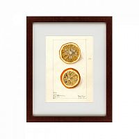 картина: watercolor collection, drawing №5, 1910 во Владикавказе