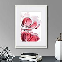 картина: himalaya plants pink-flower on white iii, 1869г. во Владикавказе
