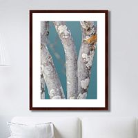 картина: trees on the galapagos islands, ecuador no1 во Владикавказе