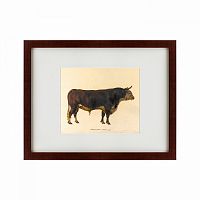 картина: the bull, 1797 во Владикавказе