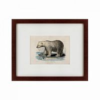 картина: white polar bear on an ice, 1830 во Владикавказе