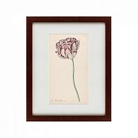 картина: tulp №2, 1815 во Владикавказе