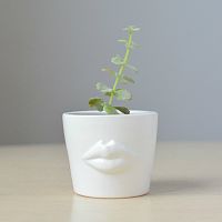 набор для выращивания eco мини-кашпо «губы» во Владикавказе