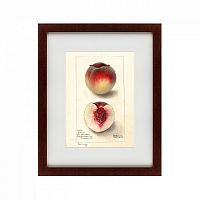 картина: watercolor collection, drawing №4, 1905 во Владикавказе