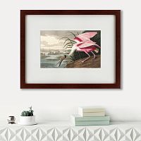 картина: roseate spoonbill, 1827 во Владикавказе