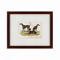 картина: three african bloodhounds, 1830 во Владикавказе