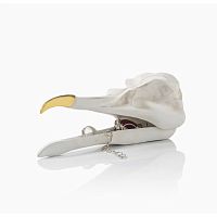 шкатулка для украшений bird skull (белый) во Владикавказе