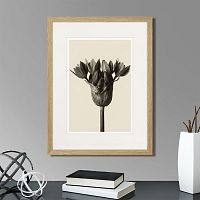 картина: botanical philosophy of forms №5, 1912г. во Владикавказе