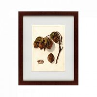 картина: watercolor collection, drawing №3, 1909 во Владикавказе