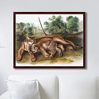 картина: the cougar, 1850г. во Владикавказе