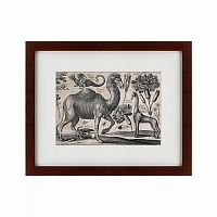 картина: a camel, 1670 во Владикавказе