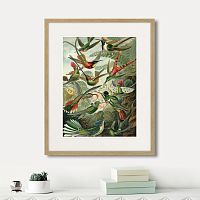 картина: art forms of nature №1, 1897г. во Владикавказе