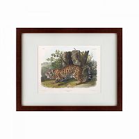 картина: jaguar, 1841 во Владикавказе