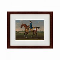 картина: bay racehorse with jockey up, 1730 во Владикавказе