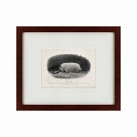 картина: a prize boar, 1867 во Владикавказе