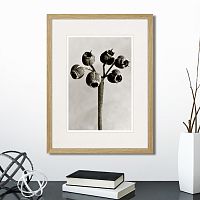 картина: botanical philosophy of forms №4, 1912г. во Владикавказе