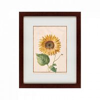 картина: watercolor over pencil etude №3, 1750 во Владикавказе