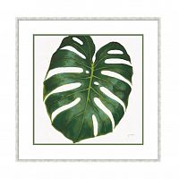 постер monstera зеленый во Владикавказе