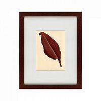 картина: the dark red leaf, 1881 во Владикавказе