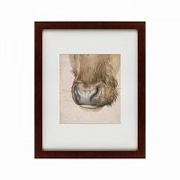 картина: muzzle of an ox seen from the front, 1527 во Владикавказе