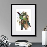 картина: toucans №5, 1849г. во Владикавказе