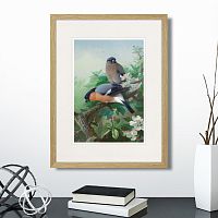 картина: bullfinches, 1915г. во Владикавказе