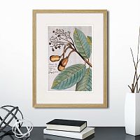 картина: exotic plants of the world №5, 1815 (i) во Владикавказе