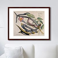 картина: exotic plants of the world №12, 1815г. во Владикавказе