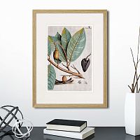 картина: exotic plants of the world №5, 1815 (ii) во Владикавказе