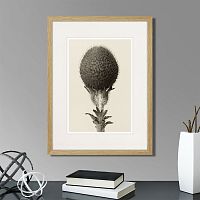 картина: botanical philosophy of forms №6, 1912г. во Владикавказе