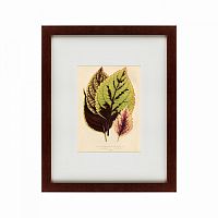 картина: les plantes a feuillage color, 1869 во Владикавказе