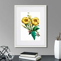 картина: caribian flora yellow allamanda, 1740г. во Владикавказе