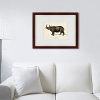 картина: rhinoceros ancienne gravure, 1849 во Владикавказе