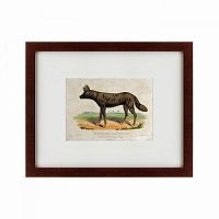 картина: a tortoise-shell hyena, or hye, 1830 во Владикавказе