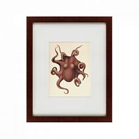 картина: pacific octopus, 1731 во Владикавказе